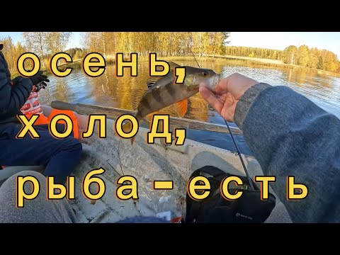 Видео: Рыбалка с лодки, осенью. Уже холодно, но рыба еще ест.