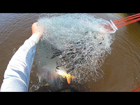 Видео: ВОТ ЭТО РЫБАЛКА!!! ДАВНО Я НЕ ЛОВИЛ СТОЛЬКО САЗАНОВ!!! НАКИДКА ТВОРИТ ЧУДЕСА!!!