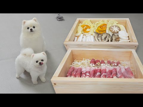 Видео: Собаки мешают мне есть