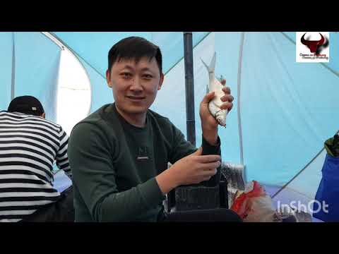 Видео: Лепсы!порыбачили на славу!👍20.02.2021г.