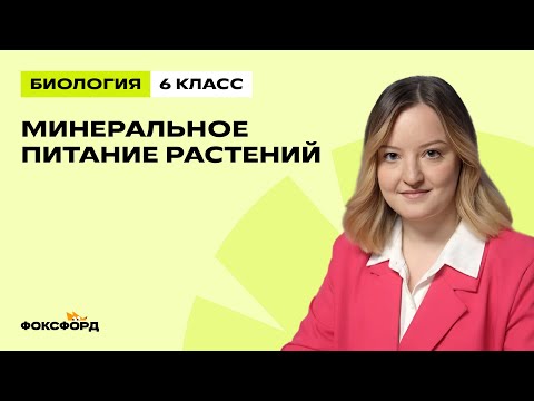 Видео: Минеральное питание растений | Биология 6 класс | Домашняя школа Фоксфорда