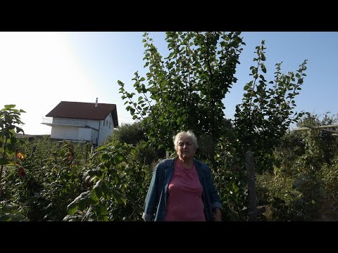 Видео: Епизод 6