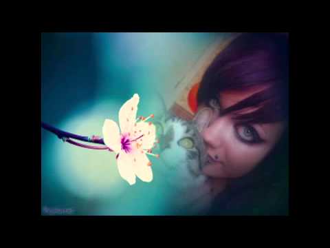 Видео: EVO - Я тебя обожаю