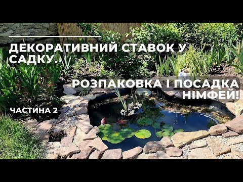 Видео: Декоративний ставок у садку. Частина 2. Розпаковка і посадка німфей!