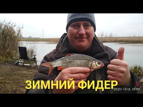 Видео: Ловля на Фидер в Декабре Поклёвки Крупным Планом