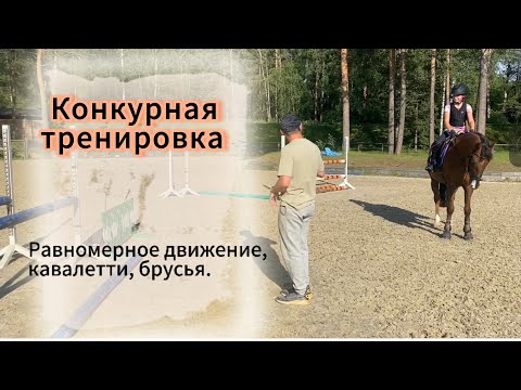 Видео: Конкурная тренировка. Даша и Серпантин