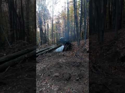 Видео: тдт 55 трелёвка