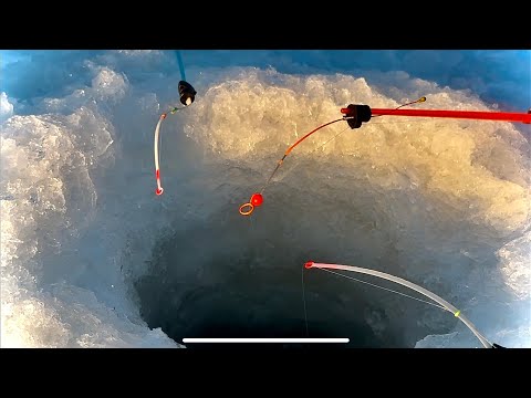 Видео: МЕШОК РЫБЫ С ЛУНКИ! КОМУ СКАЖЕШЬ-НЕ ПОВЕРЯТ! ТАКОГО ДАЖЕ ЛЕТОМ НЕ БЫВАЕТ. Зимняя рыбалка 2025.