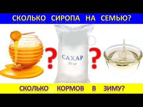 Видео: Сколько сиропа на семью? Сколько кормов в зиму?