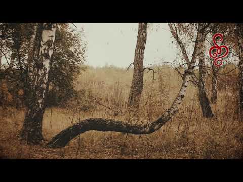 Видео: АБРЕЙ - Остаюсь