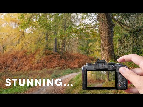 Видео: Осенняя фотография с Micro Four Thirds | Озёрный край
