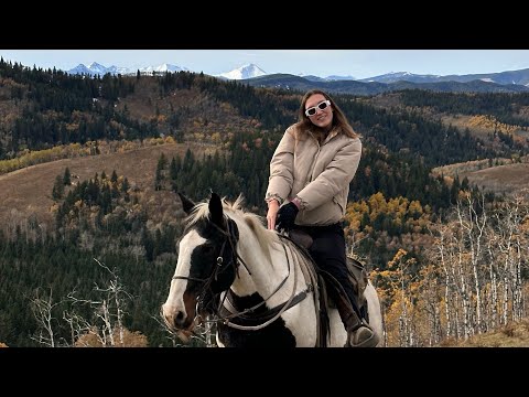 Видео: А я на коні!  Прогулка на конях в Калгари