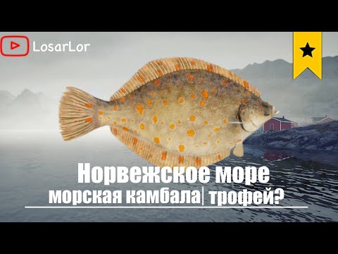 Видео: Трофейная Камбала??? Норвежское Море.Russian Fishing 4