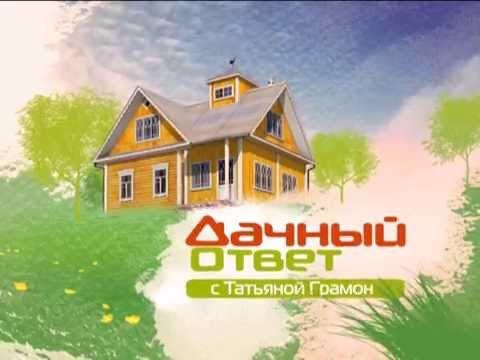 Видео: "Дачный ответ" на НТВ: смех за кадром