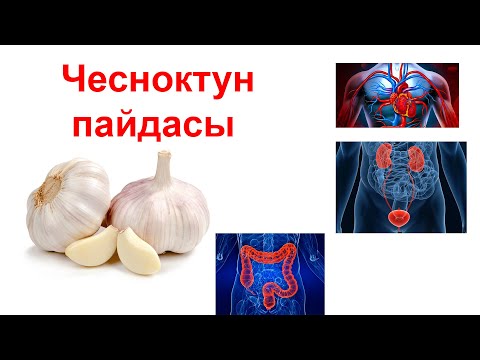 Видео: Чесноктун сиз билбеген пайдалары