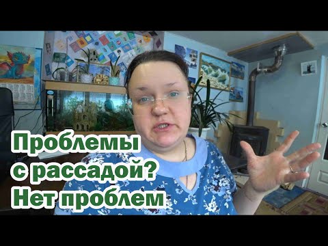 Видео: Выращивание рассады без проблем