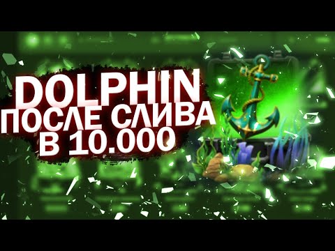 Видео: ЧТО ВЫДАСТ DOLPHIN ПОСЛЕ СЛИВА В 10К?!