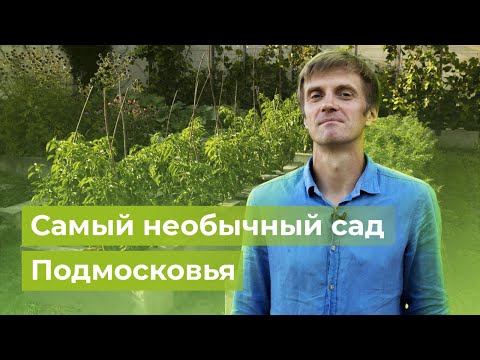 Видео: Очень мужское увлечение | «Московские дачи» в саду у Николая Логутенкова