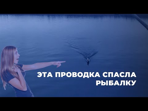 Видео: ПЕЛАГИЧЕСКИЙ ДЖИГ на ЩУКУ. СПИННИНГ на Браславских озёрах.Рыбалка в Беларуси.