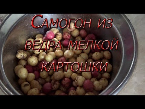 Видео: Сколько самогона получится из ведра картошки?Эксперимент...