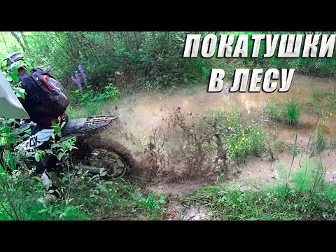 Видео: ПОКАТУШКИ  В ЛЕСУ