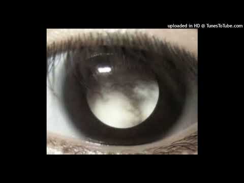 Видео: темный принц / industrial / cinematic type beat