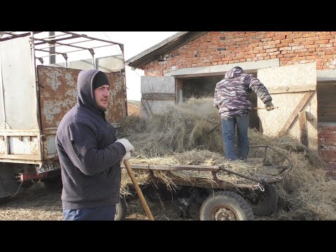 Видео: Угольное.База.Ноябрь.