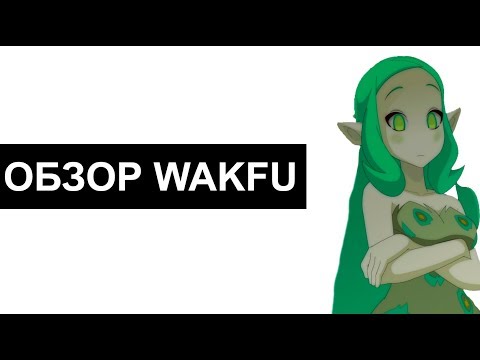 Видео: Обзор игры WAKFU