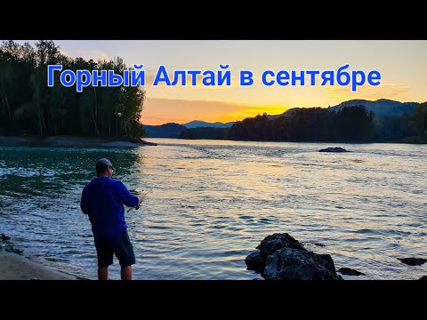 Видео: Горный Алтай осенью | Бирюзовая Катунь | Рыбалка в горной реке