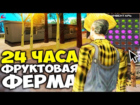 Видео: ФРУКТОВАЯ ФЕРМА ОБНОВЛЕНА! НАЁМНЫЙ ФЕРМЕР ДЕЛАЕТ 50 МЛН с 1 ДОМА на АРИЗОНА РП (SAMP - Arizona RP)