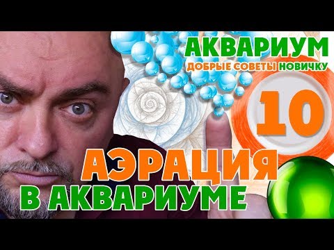 Видео: Аквариум. Добрые советы новичку. Аэрация в аквариуме.