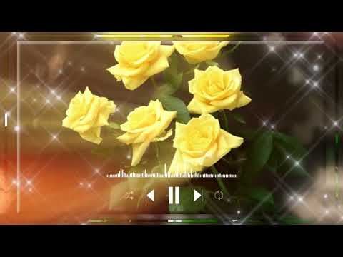 Видео: Cover "Фристайл - Желтые Розы" - Vocal Trance  ( Чеховский И.М. )