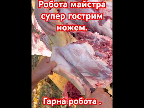 Видео: Сало із лопатки