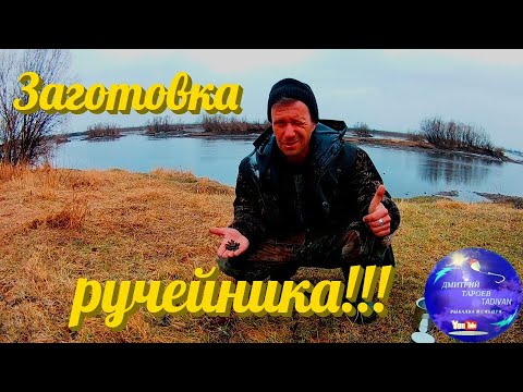 Видео: Заготовка ручейника!!! Эта наживка ловит всегда!!!