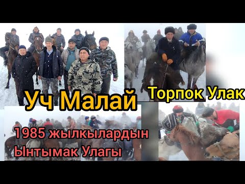 Видео: Уч Малай 85 жылкылардын Ынтымак Улагы