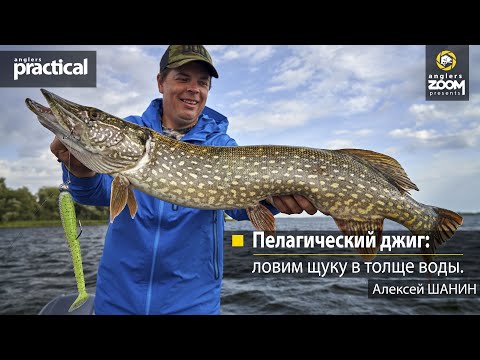 Видео: Пелагический джиг: ловим щуку в толще воды. Алексей Шанин. Anglers Practical