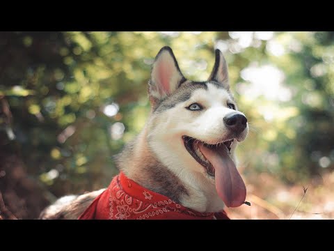 Видео: Встречаю 43-летие на реб центре =)