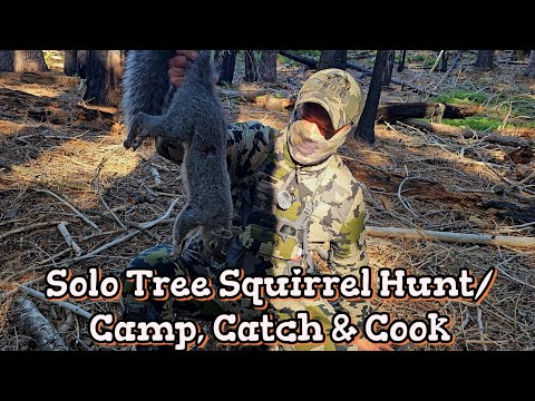 Видео: Одиночная охота на древесную белку, лагерь, ловля и приготовление, часть. 1 | Муг Йос Туа Нааг Но...