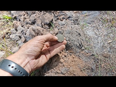 Видео: Лесные дороги - сколько там еще можно найти интересного металлоискателем.
