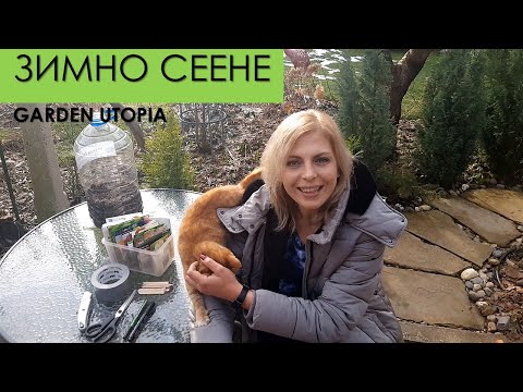 Видео: Зимно сеене: Засяване на зеленчуци и цветя през зимните месеци | Част 1