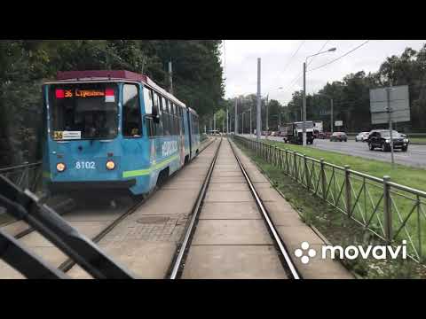 Видео: 36 маршрут трамвая Санкт-Петербург