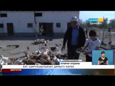 Видео: Құс шаруашылығын дамыту керек