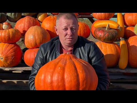 Видео: БЛЮДО-ШОК В ПОМПЕЙСКОЙ ПЕЧИ‼️ Баранина в тыкве✔️мясо в казане✔️мясо с овощами