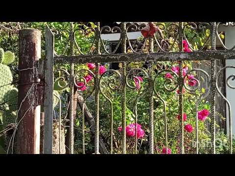 Видео: Прогулка по селу Псырцха к смотровой площадке.Улица Чанба.Улица братьев Джинджолия.