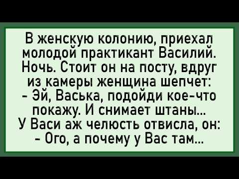 Видео: Васька был в ШОКЕ! Сборник свежих анекдотов! Юмор!
