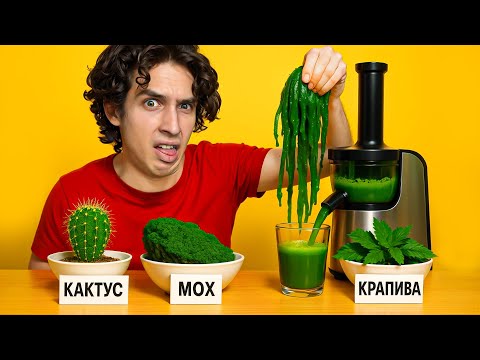 Видео: ПРОБУЮ СОК ИЗ ВОДОРОСЛЕЙ!