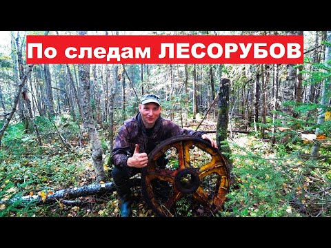 Видео: Есть ещё МЕТАЛЛ в лесу! Ищем стоянки ЛЕСОРУБОВ. Опять нагрузили полный прицеп.