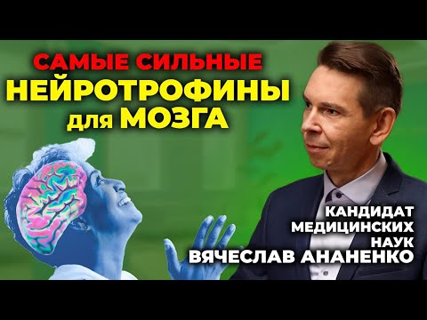 Видео: СИЛЬНЕЙШИЕ УСИЛИТЕЛИ МОЗГА. Без лекарств АКТИВНОСТЬ 24на7