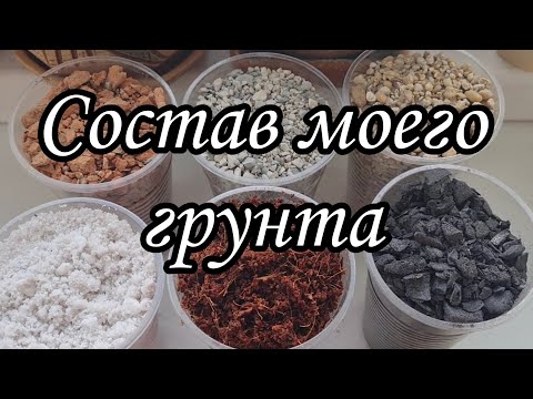 Видео: Как сделать грунт для суккулентов