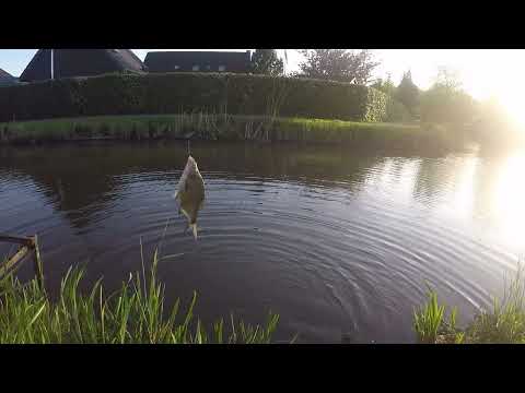 Видео: ГОРОДСКОЙ РЕЧКЕ ТАСКАЮ ЛЕЩЕЙ РЫБАЛКА НА СПИННИНГ!